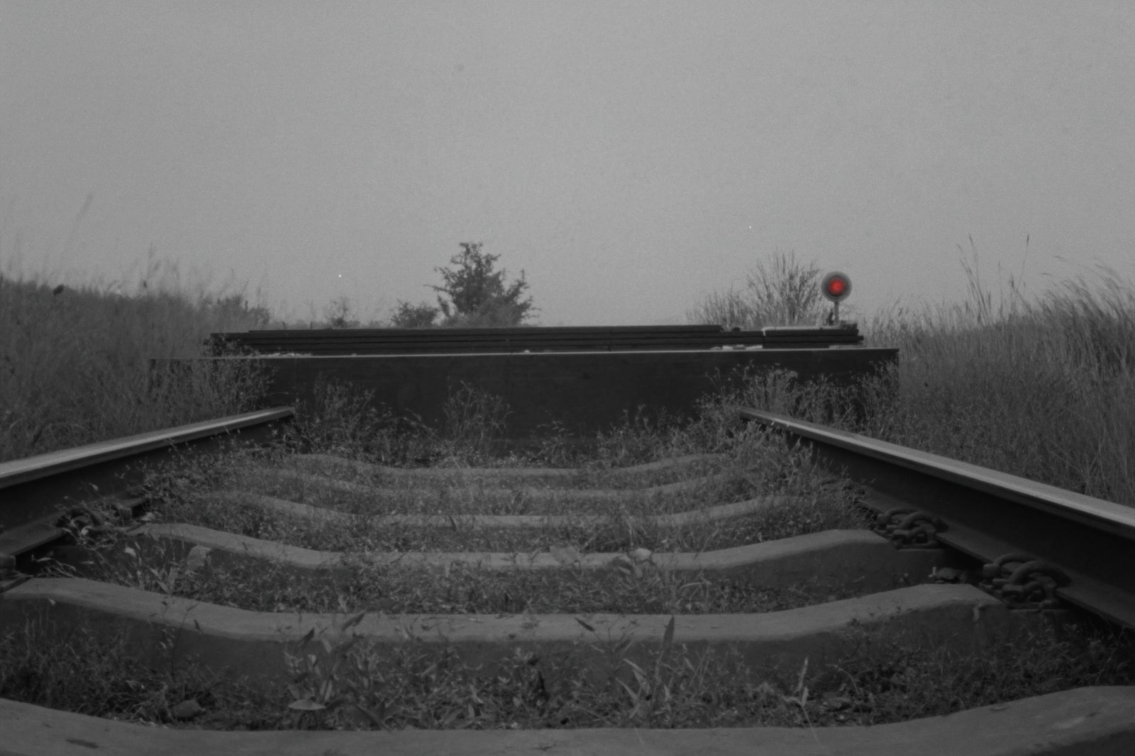 The end of a railway line: overgrown track meets a buffer stop, with a small red lamp beside it.